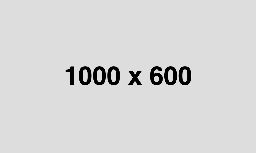 dummy_1000x600_000000_dddddd
